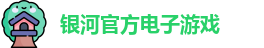 银河电子游戏